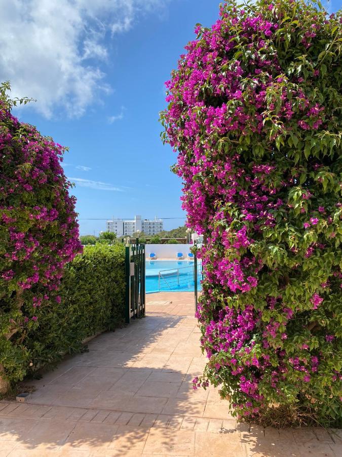 Apartament Sa Farola - Ac, Wifi , Pool, Beach كالا إن بلانيس المظهر الخارجي الصورة